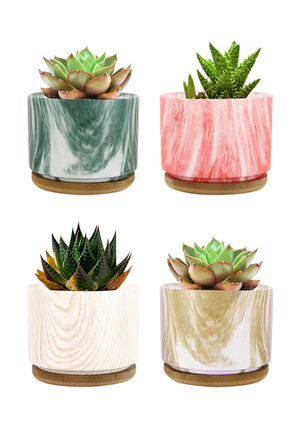 Set 4 Pezzi Vasi In Ceramica Con Decorazioni Fiori Piante Grasse Con Sotto Vaso In Bambù Foro Centrale Vasetti Cactus