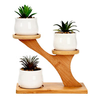 Set 4 Pezzi Vasi In Ceramica Con Decorazioni Fiori Piante Grasse Con Sotto Vaso In Bambù Foro Centrale Vasetti Cactus