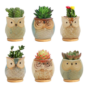 Set 6 Pezzi Vasi In Ceramica Fiori Piante Grasse Gufi Con Sotto Vaso In Bambù Foro Centrale Cactus Decorazione Interno Esterno Casa Vasetto Con Foro Scarico Fioriera Contenitore