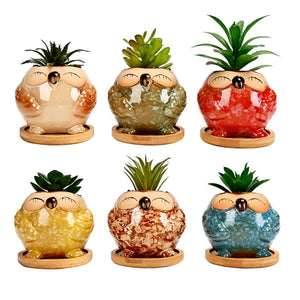 Set 6 Pezzi Vasi In Ceramica Fiori Piante Grasse Gufi Con Sotto Vaso In Bambù Foro Centrale Cactus Decorazione Interno Esterno Casa Vasetto Con Foro Scarico Fioriera Contenitore