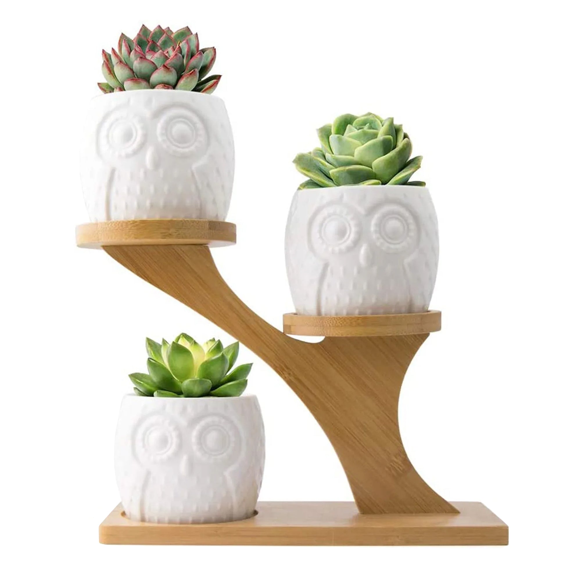 Vasetto Per Piante A Forma Di Gufo – Ceramica Carina Per Succulente, Regalo Casa - Foto 5