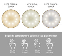 Coppia Di Lampada Da Tavolo LED Set 2 Pezzi Design Moderno Senza Fili Ricaricabile Controllo Touch Selezione Colore Intensità Dimmerabile Altezza Regolabile Con Adattatore Per Bottiglia 3000/4500/600K