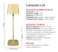 Coppia Di Lampada Da Tavolo LED Set 2 Pezzi Design Moderno Senza Fili Ricaricabile Controllo Touch Selezione Colore Intensità Dimmerabile Altezza Regolabile Con Adattatore Per Bottiglia 3000/4500/600K