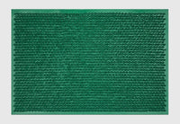 Zerbino In Gomma 40 x 60 Cm Ingresso Antiscivolo Tappeto AsciugaPassi Facile da Pulire Antibatterico e Resistente Rettangolare Tappetino 2 Colori